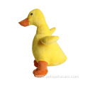 yellow duck chewing plush dog toy with sound